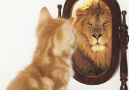 Samopouzdanje je vrsta ogledala
