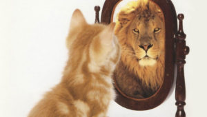 Samopouzdanje je vrsta ogledala