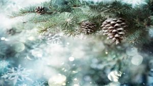 Horoskop za decembar