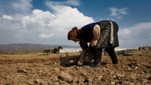 Međunarodni dan žena na selu