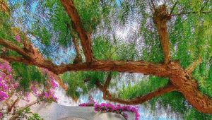 Dnevni horoskop za 12. avgust