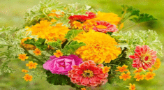 Dnevni horoskop za 12. septembar