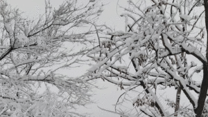 Dnevni horoskop za 29. januar